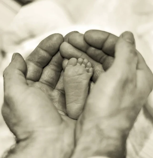 Closeup Greyscale Shot Baby Foot Person Hands Parental Love Concept — Stock Photo, Image