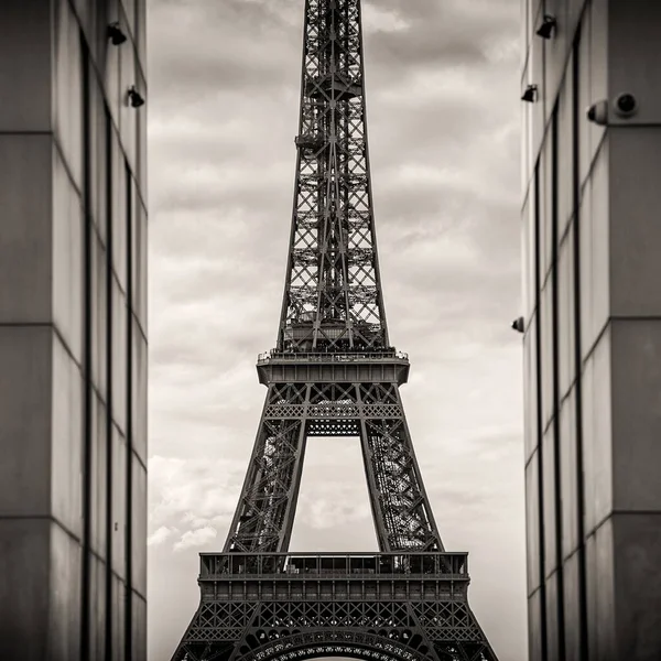 Disparo Escala Grises Una Torre Eiffel París Francia — Foto de Stock