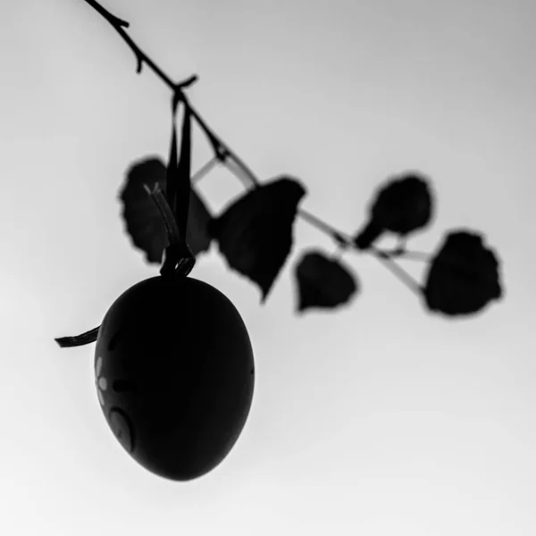 一只挂在树枝上的复活节彩蛋的灰白色照片 — 图库照片