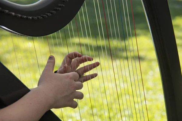 Närbild Skott Kvinnlig Händer Spelar Harpa Ett Grästäckt Fält — Stockfoto