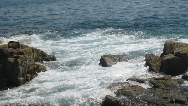 Beautiful Rock Covered Beach Sea Captured Acadia National Park Maine — Stock Photo, Image