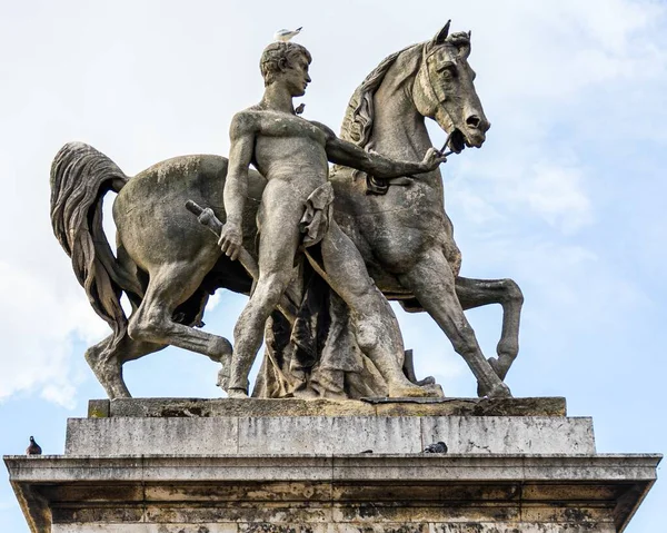 Красивый Снимок Мужчины Лошади Париже — стоковое фото