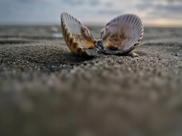 Tiro Tirar Fôlego Uma Bela Praia Fundo Areia — Fotografia de Stock