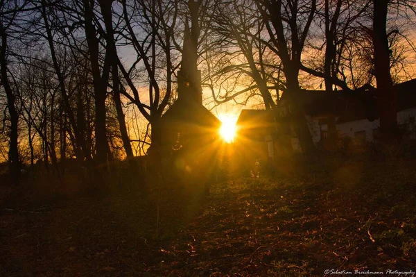 Vue Fascinante Des Silhouettes Des Arbres Des Bâtiments Coucher Soleil — Photo