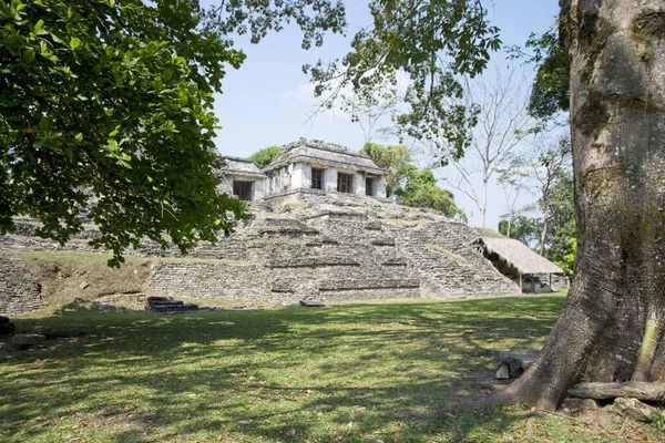 Eine Schöne Aufnahme Der Ruinen Von Palenque Chiapas Mexiko Bei — Stockfoto