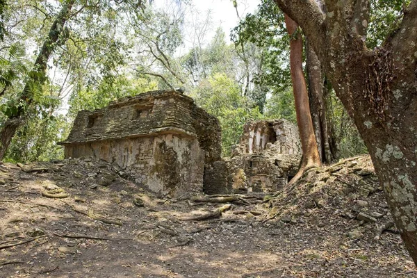 Een Prachtig Shot Van Yaxchilan Ruins Chiapas Mexico — Stockfoto