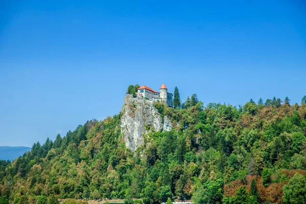 Castelo Topo Penhasco Horário Verão Dia Agradável Ensolarado — Fotografia de Stock