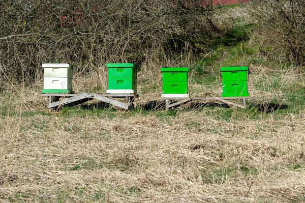 蜂房管理员一个带着四个蜂箱的蜂房管理员 用来收集蜂房中的蜜蜂背景及文本的复制空间和位置 — 图库照片