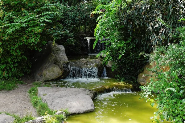 Una Hermosa Toma Una Mini Cascada Rodeada Rocas Árboles Plantas — Foto de Stock