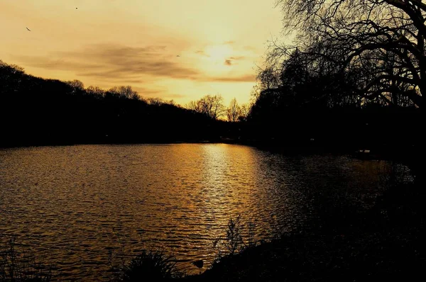 Beautiful Shot Sunset River Silhouette Trees — Stock Photo, Image