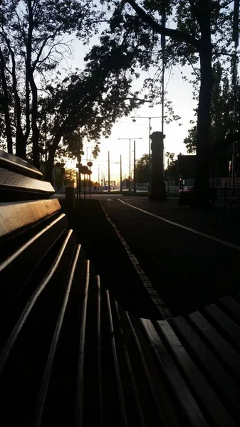 Eine Vertikale Aufnahme Einer Silhouettierten Straße Mit Bäumen Und Bank — Stockfoto