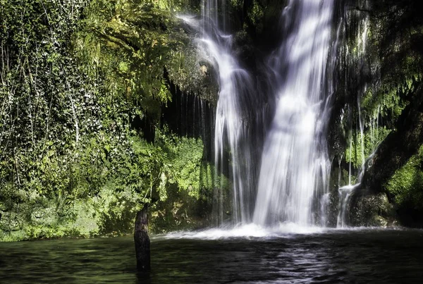Uma Bela Cachoeira Floresta — Fotografia de Stock