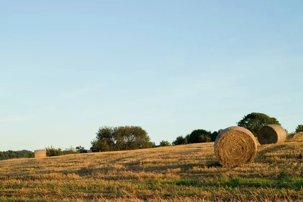 Het Prachtige Uitzicht Hooibalen Het Veld Het Platteland Onder Blauwe — Stockfoto