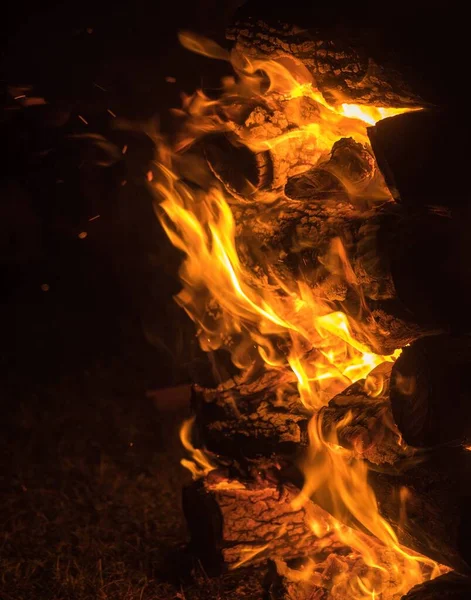 Bir Gece Kesilen Bir Ağacın Yanındaki Kamp Ateşinin Dikey Görüntüsü — Stok fotoğraf