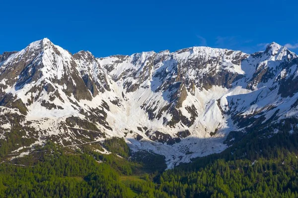 Kayalık Dağların Büyüleyici Manzarası Karla Kaplı Önplanda Ağaçlarla — Stok fotoğraf