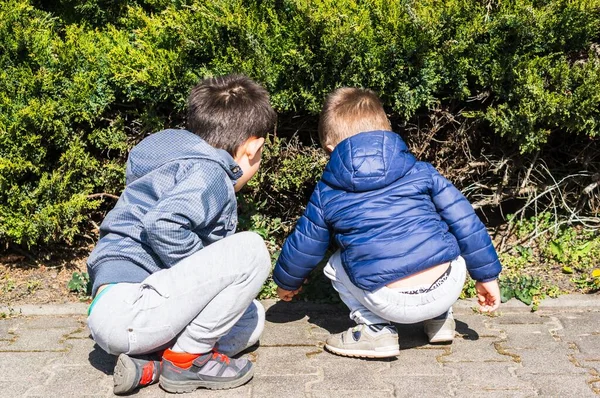 Poznan Polen Apr 2020 Twee Jonge Jongetjes Kijken Naar Iets — Stockfoto