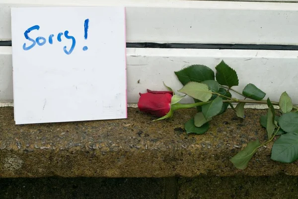 Der Handschriftliche Entschuldigungsbrief Und Eine Rote Rose Auf Dem Boden — Stockfoto