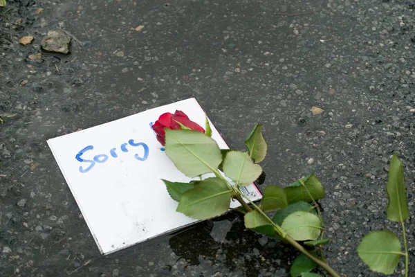 Der Handschriftliche Entschuldigungsbrief Und Eine Rote Rose Auf Dem Boden — Stockfoto