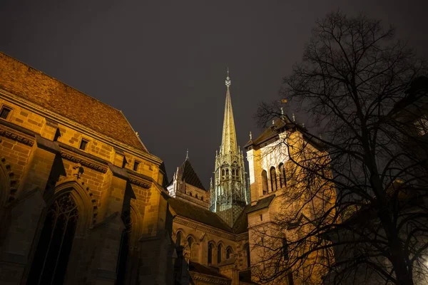 Catedral Bare Tree Noche Ginebra Suiza — Foto de Stock