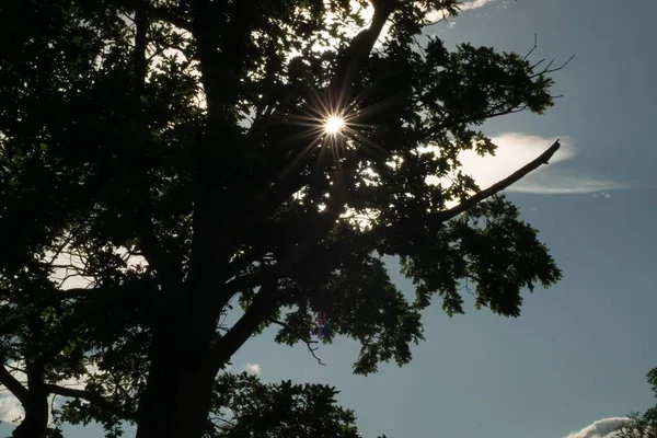 Eine Schöne Aufnahme Der Sonne Die Den Blauen Himmel Hinter — Stockfoto