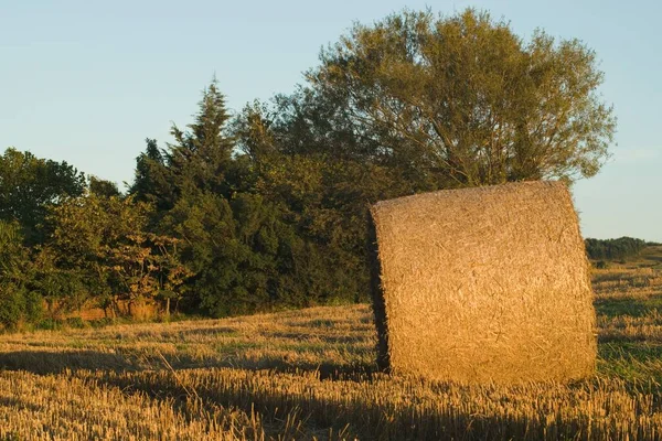 Hay Bales Field Countryside Blue Sky — Stock Photo, Image