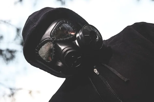 検疫中に牧場にガスマスクと黒のジャケットを着た者の低角度のショット — ストック写真