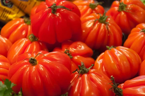 Eine Nahaufnahme Von Vielen Frischen Roten Tomaten — Stockfoto