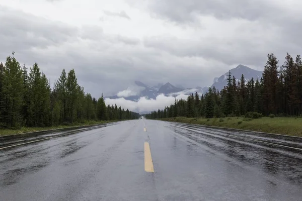 Spettacolari Paesaggi Stradali Che Attraversano Pinete Alte Montagne Strade Canadesi — Foto Stock