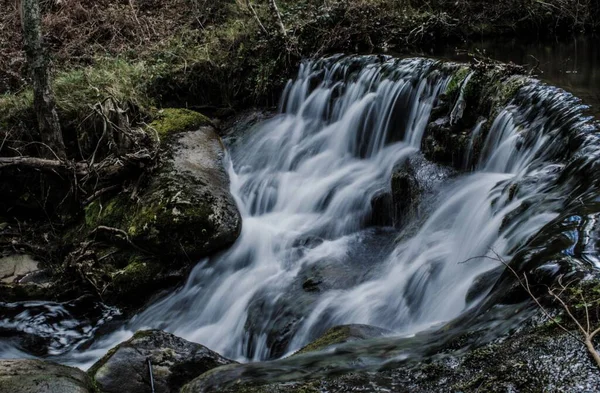 森林中一条河和一个小瀑布落在布满苔藓的岩石上的美丽景色 — 图库照片