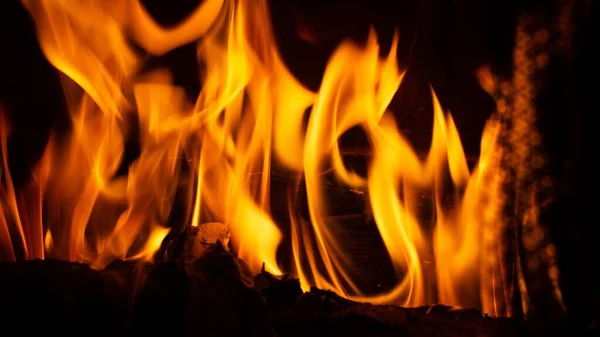 어두운 지역에서 불타고 종이의 아름다운 — 스톡 사진