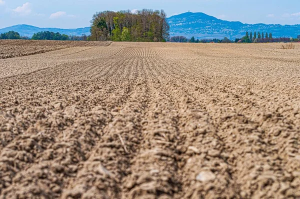 Una Hermosa Foto Plaine Rhone Vaud Suiza Durante Día —  Fotos de Stock