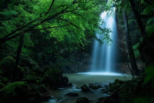 Una Hermosa Toma Una Cascada Bosque — Foto de Stock