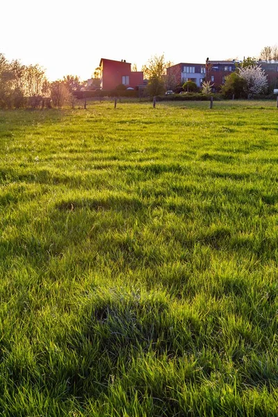 Een Groen Graslandschap Omringd Door Gebouwen Avond — Stockfoto