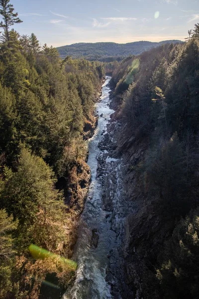 Beau Cliché Une Rivière Entourée Arbres Avec Une Montagne Sur — Photo