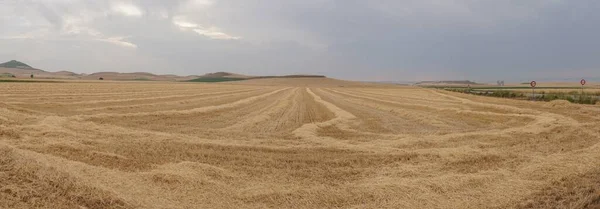 Vista Los Campos Maíz Leiva Cerca Logrono Rioja España —  Fotos de Stock