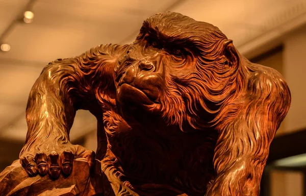 Крупним Планом Знімок Деталізованої Статуї Мавпи — стокове фото