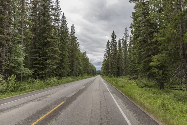 Spettacolari Paesaggi Stradali Che Attraversano Pinete Alte Montagne Strade Canadesi — Foto Stock