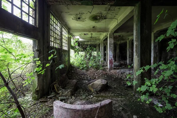 Une Structure Endommagée Bâtiment Abandonné Plein Saleté Plantes Vertes — Photo