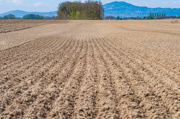 Una Hermosa Foto Plaine Rhone Vaud Suiza Durante Día —  Fotos de Stock