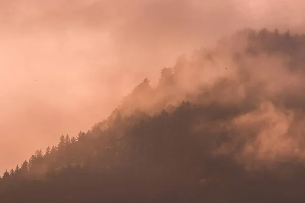 Krásný Kopec Pokrytý Stromy Zachycený Mlhavém Soumraku Francii — Stock fotografie