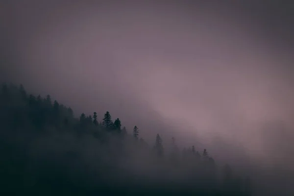 Krásný Kopec Pokrytý Stromy Zachycený Mlhavém Soumraku Francii — Stock fotografie