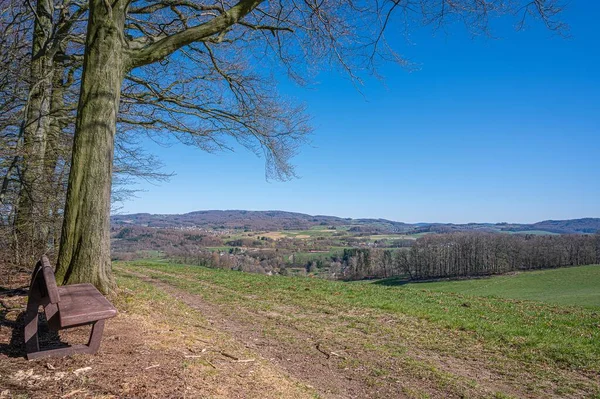 Una Vista Impresionante Campo Abierto Cubierto Árboles Viejos Junto Camino —  Fotos de Stock