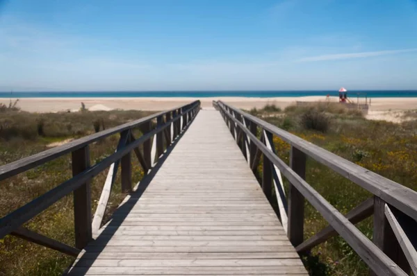 Beautiful View Wooden Deck Leading Seashore Blue Sky — Stock Photo, Image