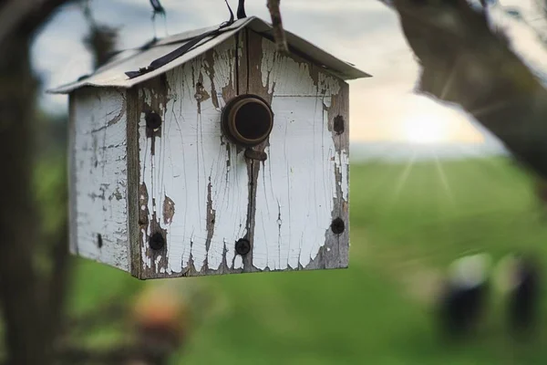 Zbliżenie Ujęcia Drewnianego Białego Domku Dla Ptaków Zamazanym Tłem — Zdjęcie stockowe