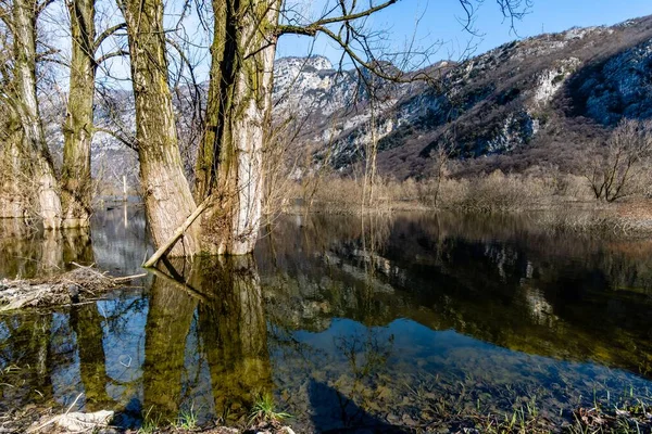 Niesamowite Ujęcie Jesiennego Krajobrazu Drzewami Rosnącymi Środku Refleksyjnego Jeziora — Zdjęcie stockowe