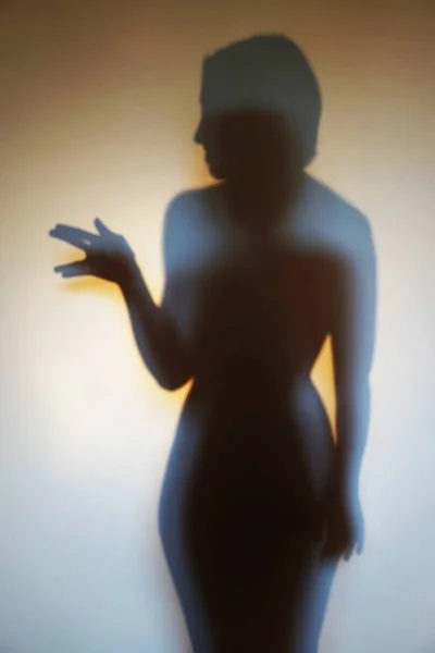 Colpo Verticale Della Silhouette Una Donna Una Donna — Foto Stock