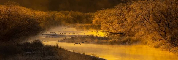 北海道釧路市の木々や空飛ぶクレーンに囲まれた川の美しいパノラマ写真 — ストック写真