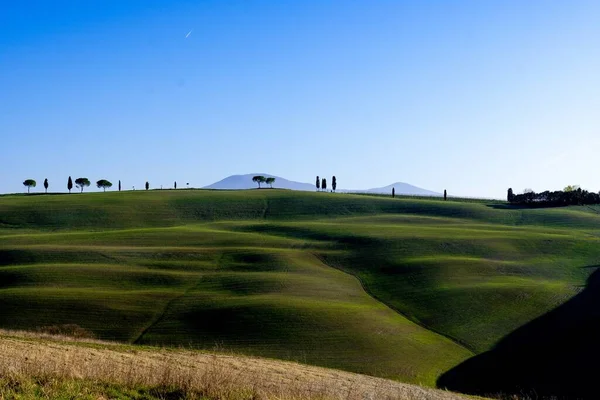 イタリアのトスカーナにある緑の野の素晴らしい景色 — ストック写真