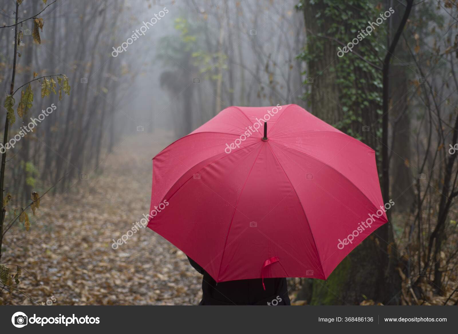 Cierre Una Con Paraguas Rojo Paseando Callejón Arbolado: fotografía de stock © #368486136 | Depositphotos