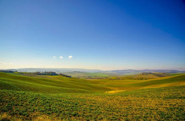 Ett Landskap Ett Ljust Grönt Fält Och Klarblå Himmel — Stockfoto